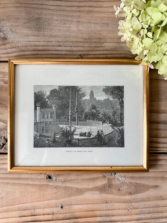 Vintage Framed German Print, The Bear Pit