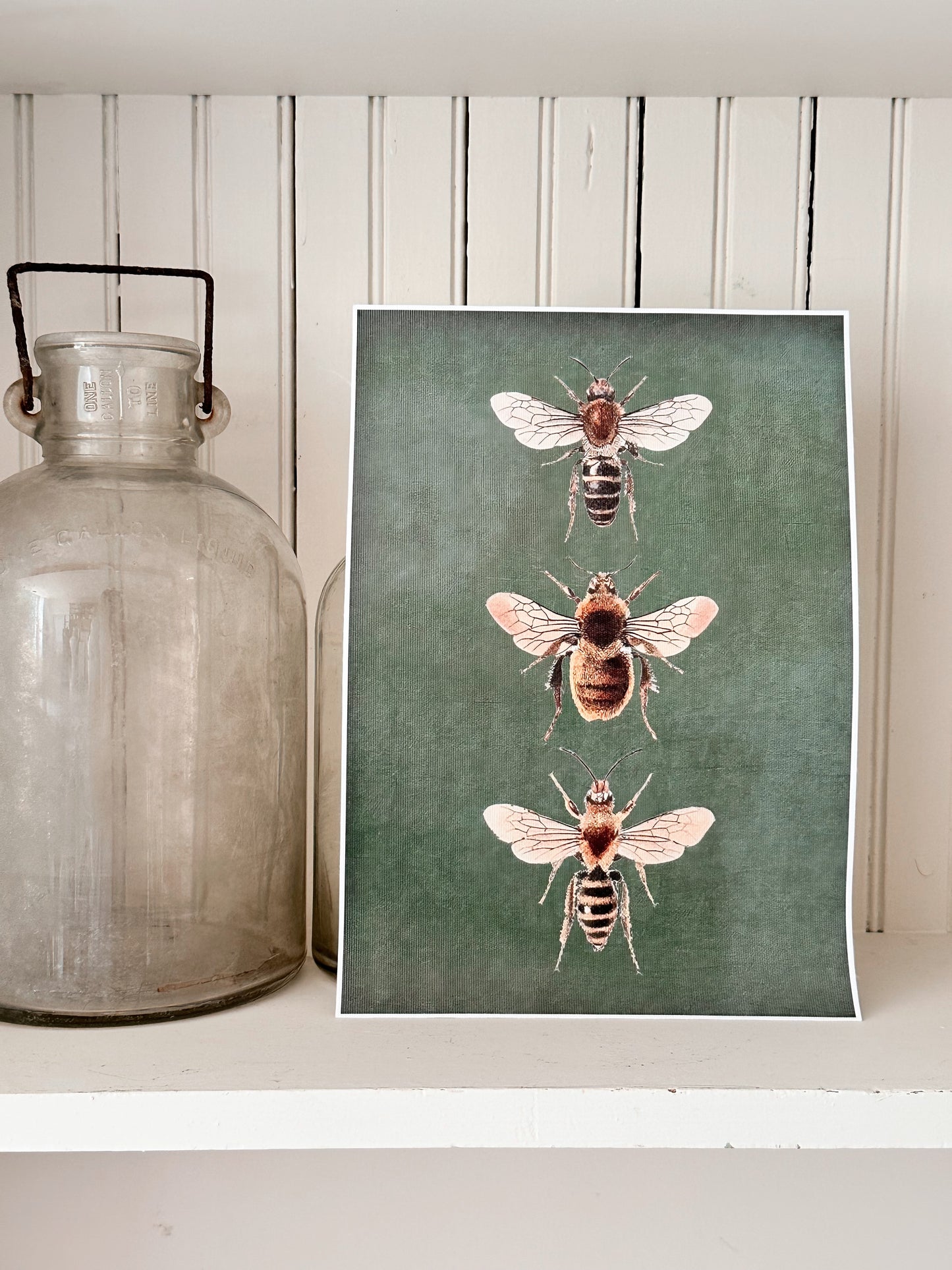 Vintage Bee Print