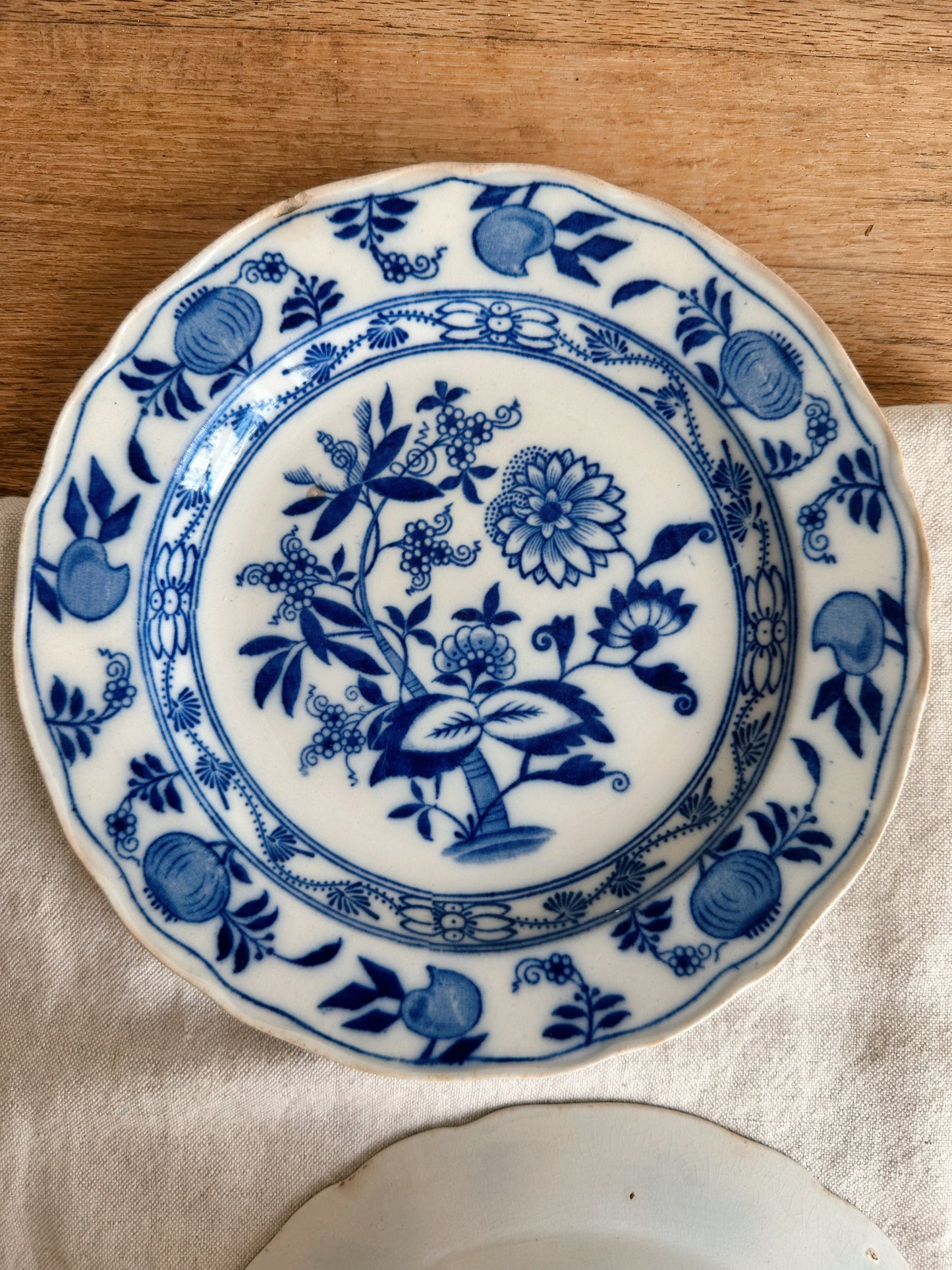 Pair of Antique English Onion Ware Plates
