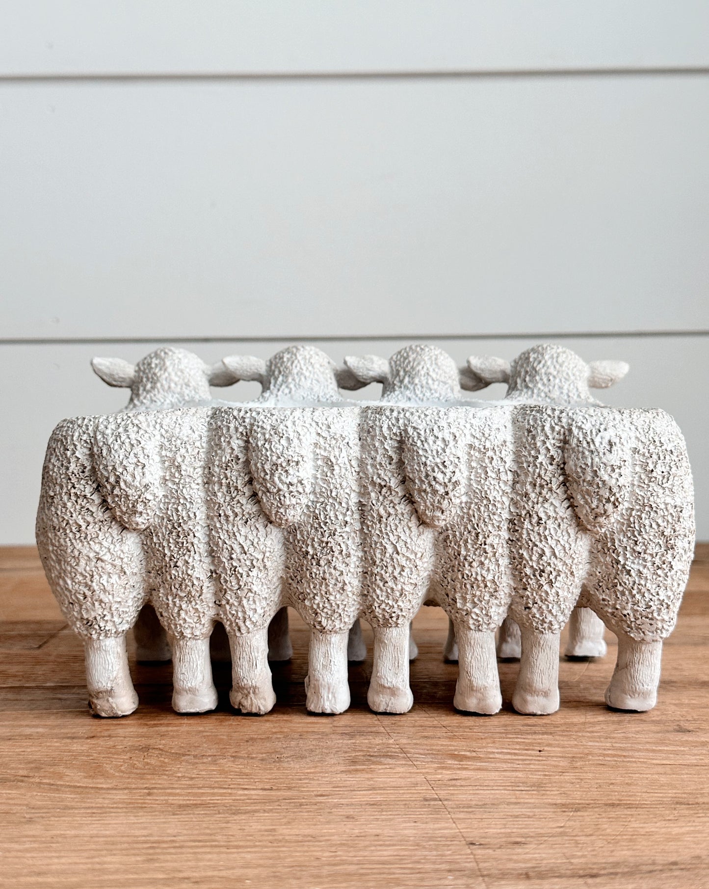 Flock of Lambs Planter
