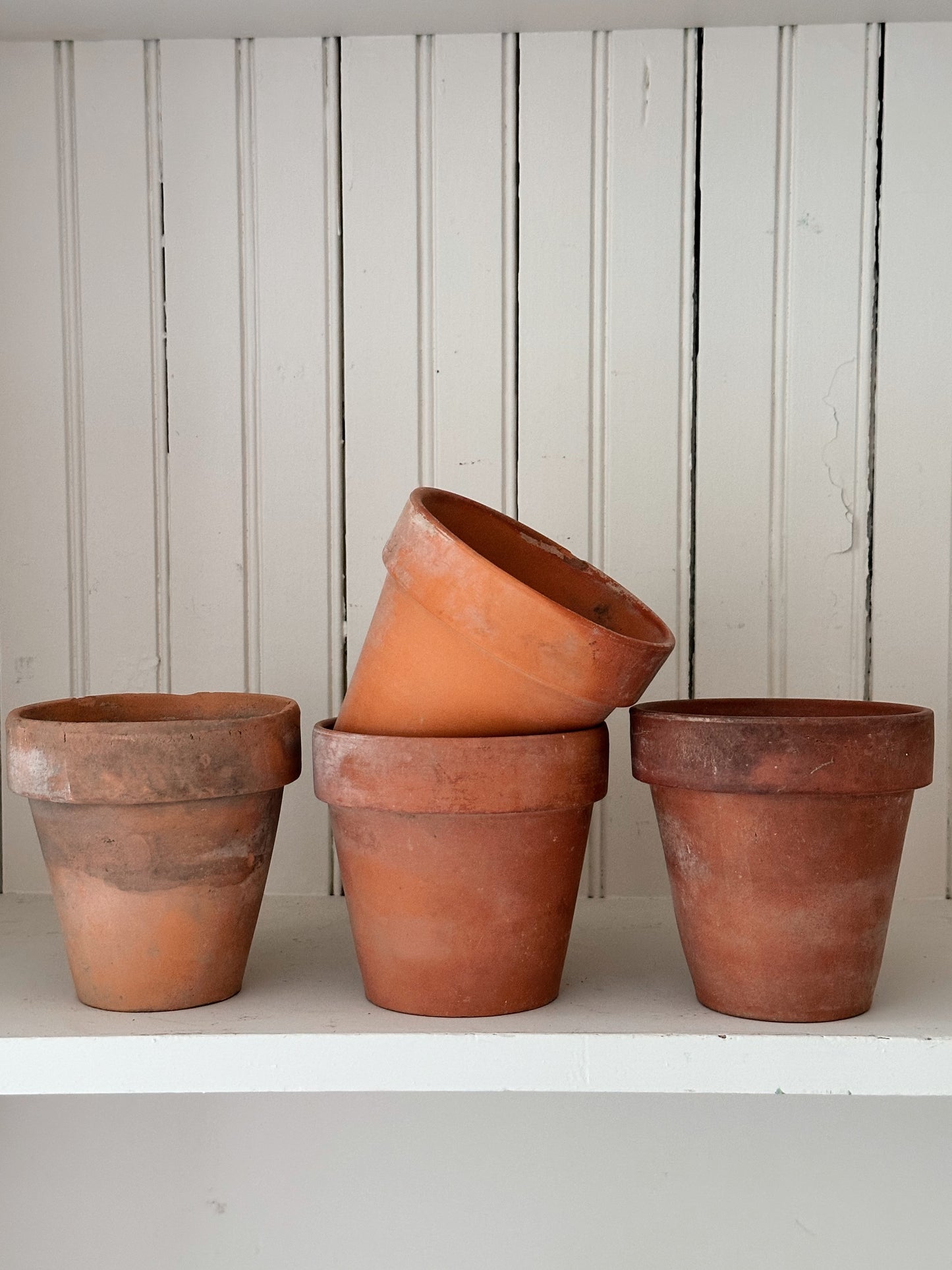 Vintage Chippy Wire Basket & Worn Terra Cotta Pots