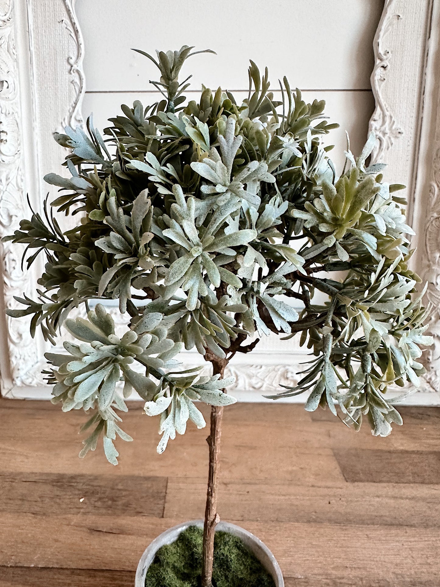 Faux Senecio Topiary