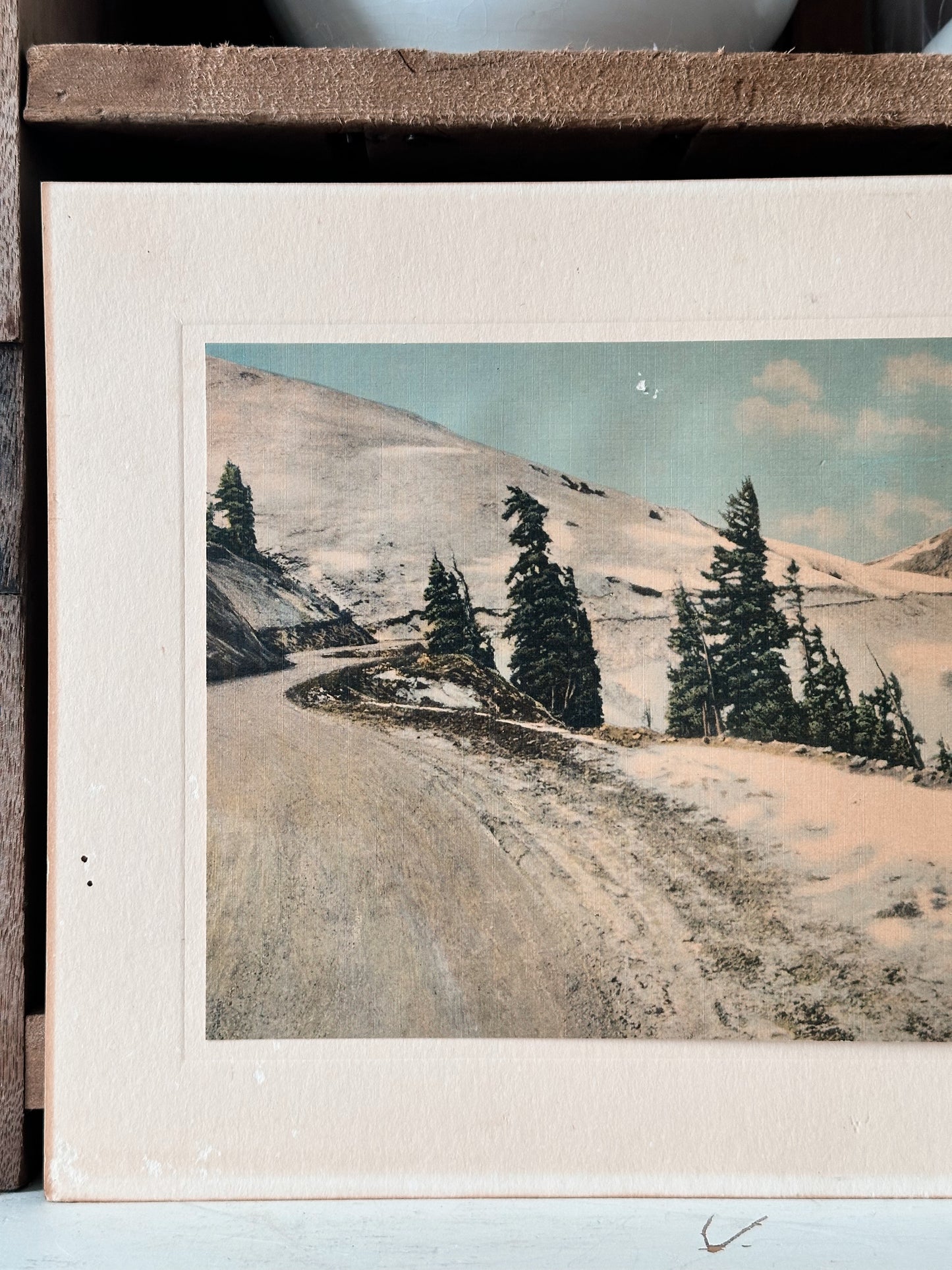 Vintage Winter Print