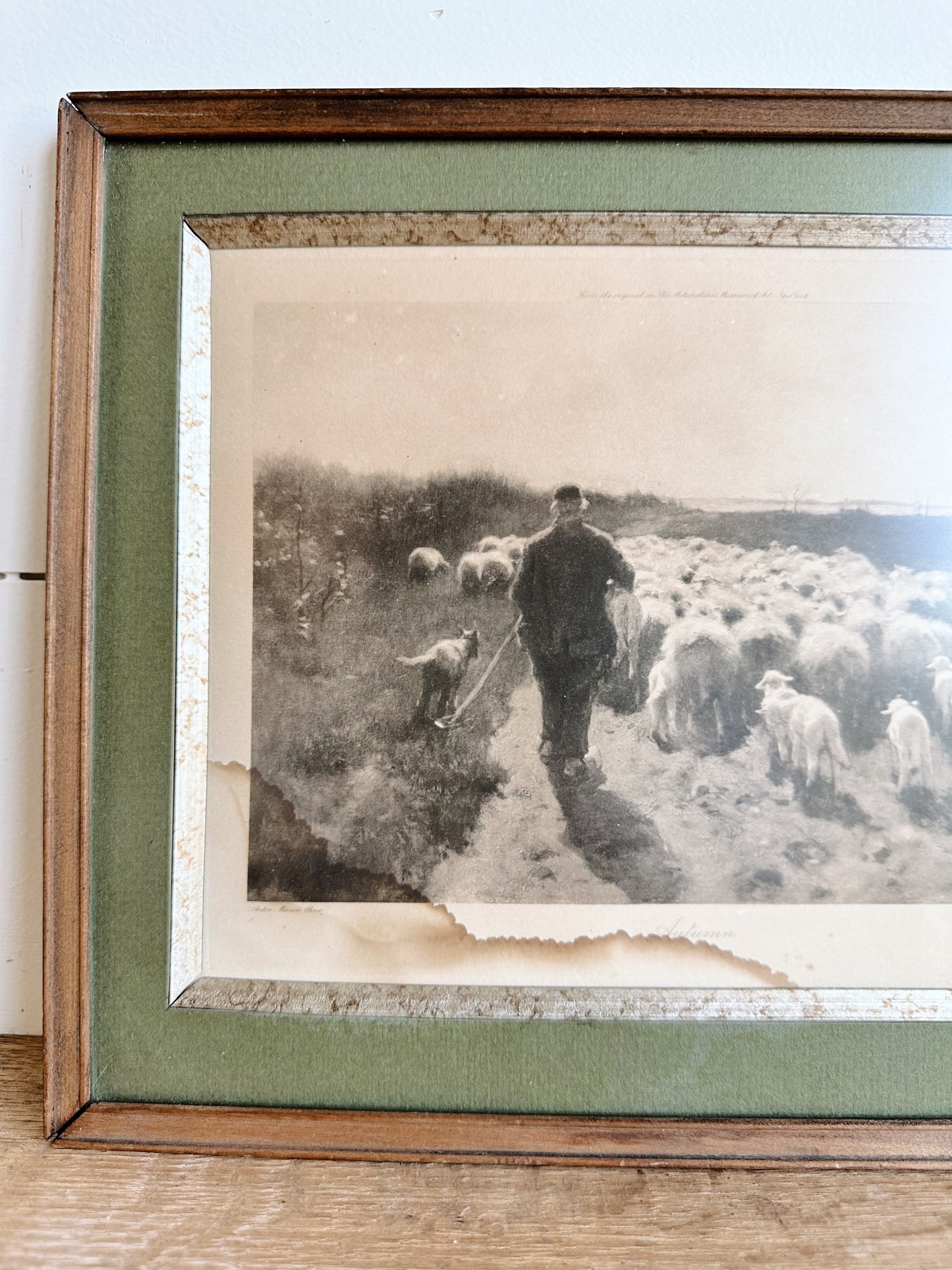 Vintage Framed Sheep & Shepherd