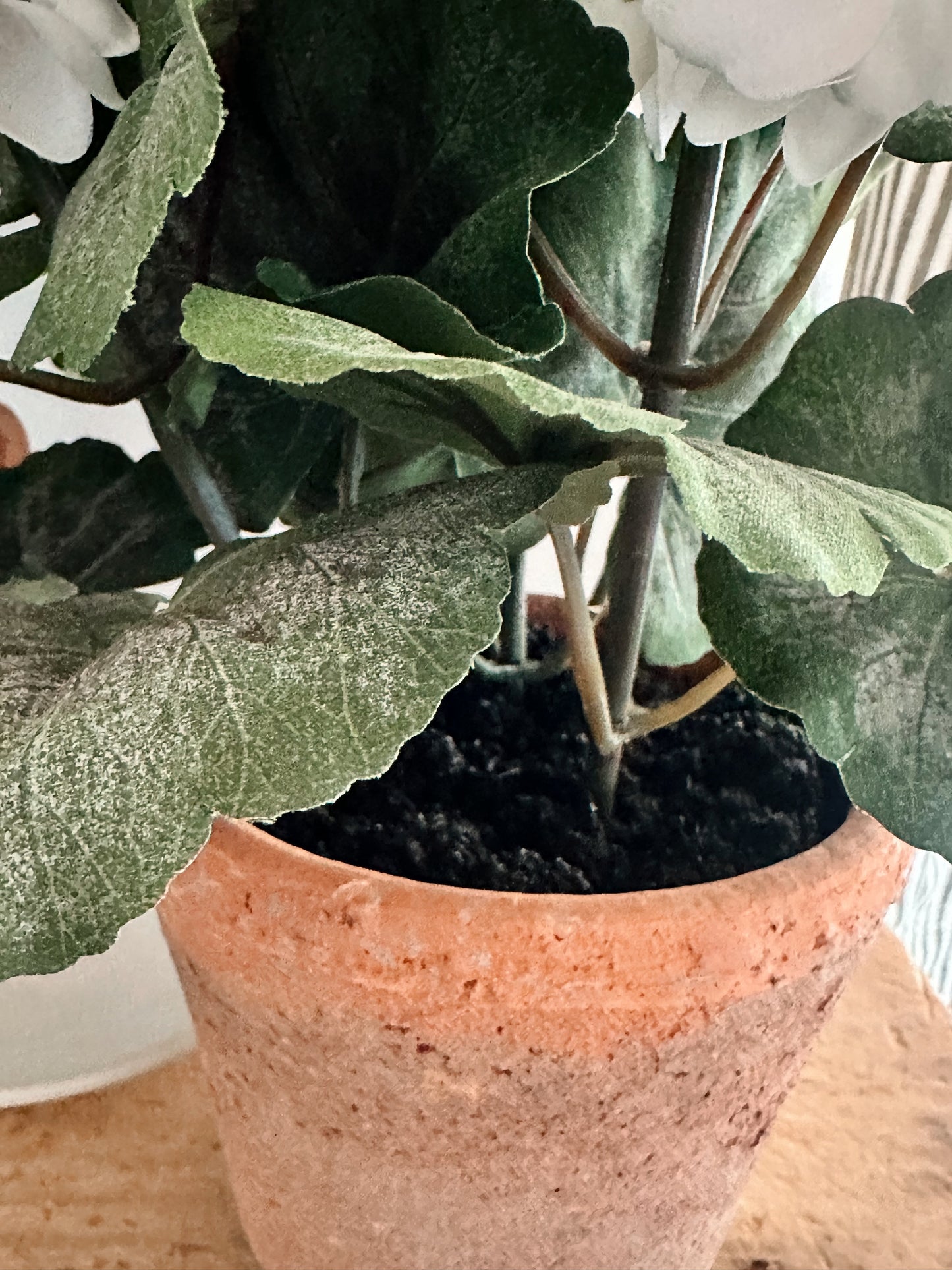 Potted Faux White Geraniums