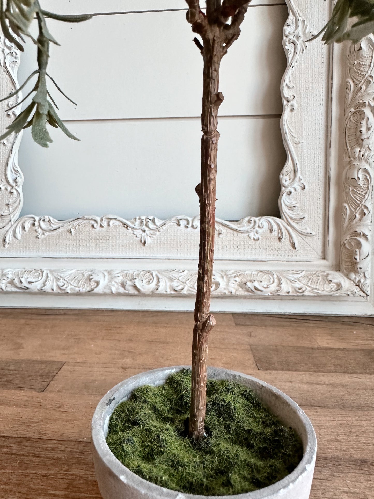 Faux Senecio Topiary