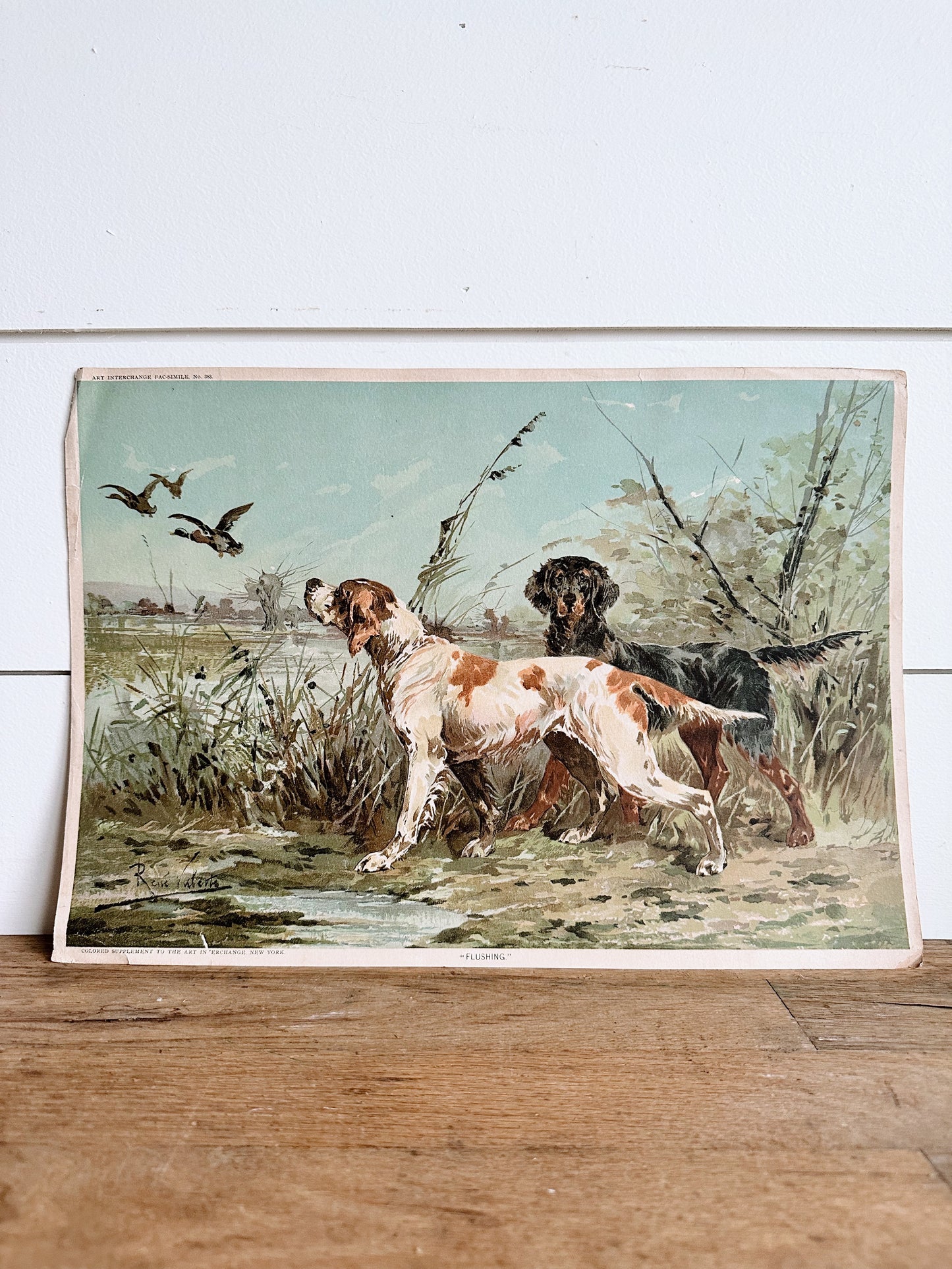 Vintage Dog Print