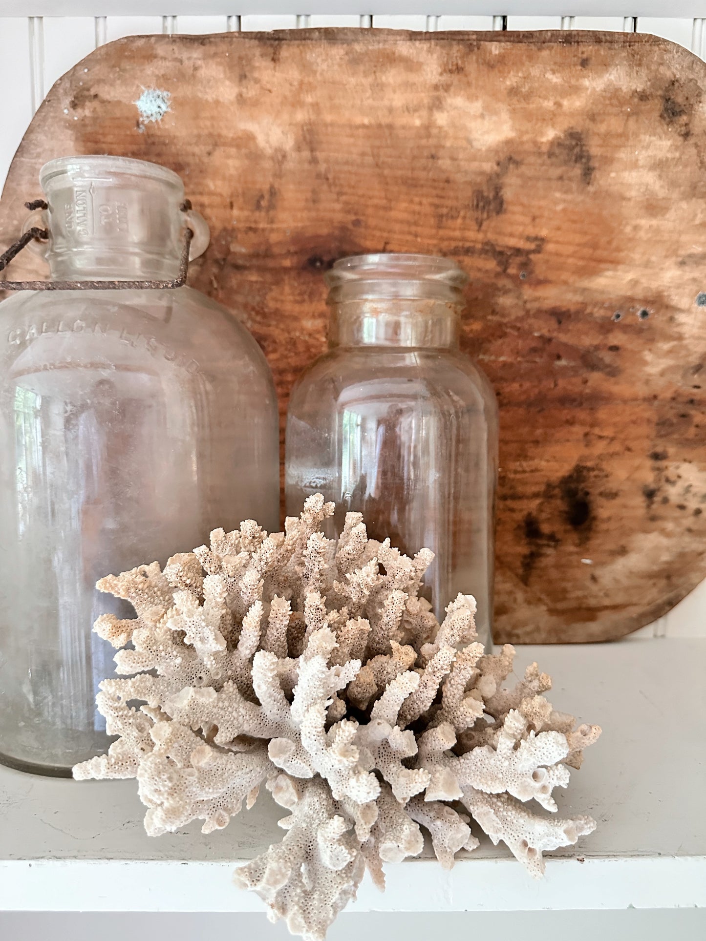 Large Natural Coral Piece