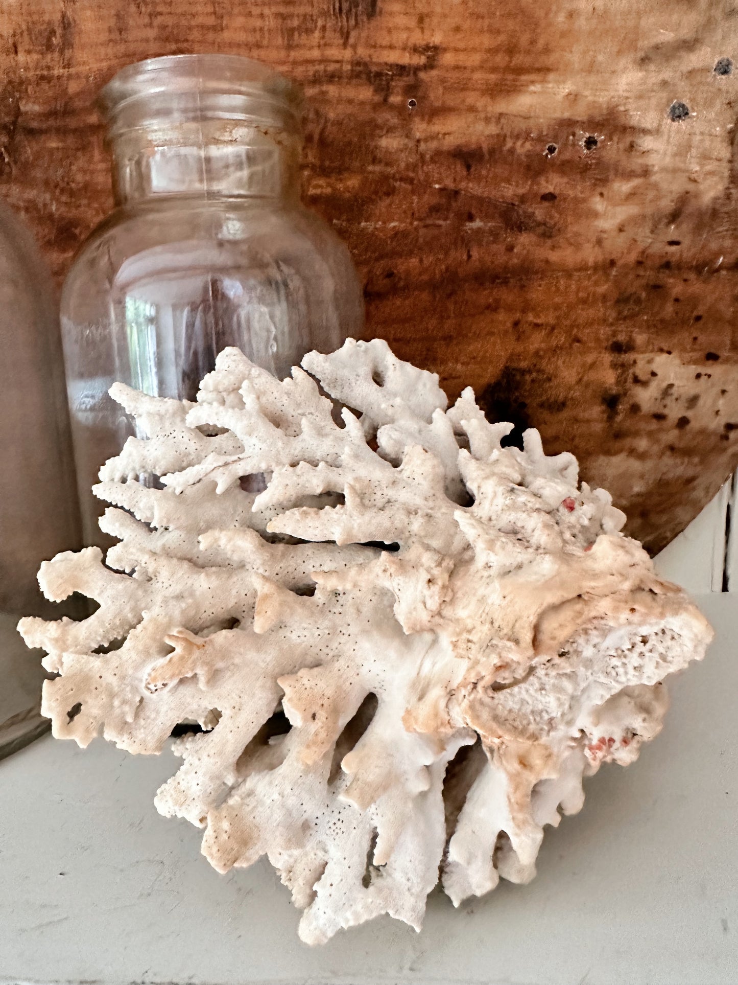 Large Natural Coral Piece