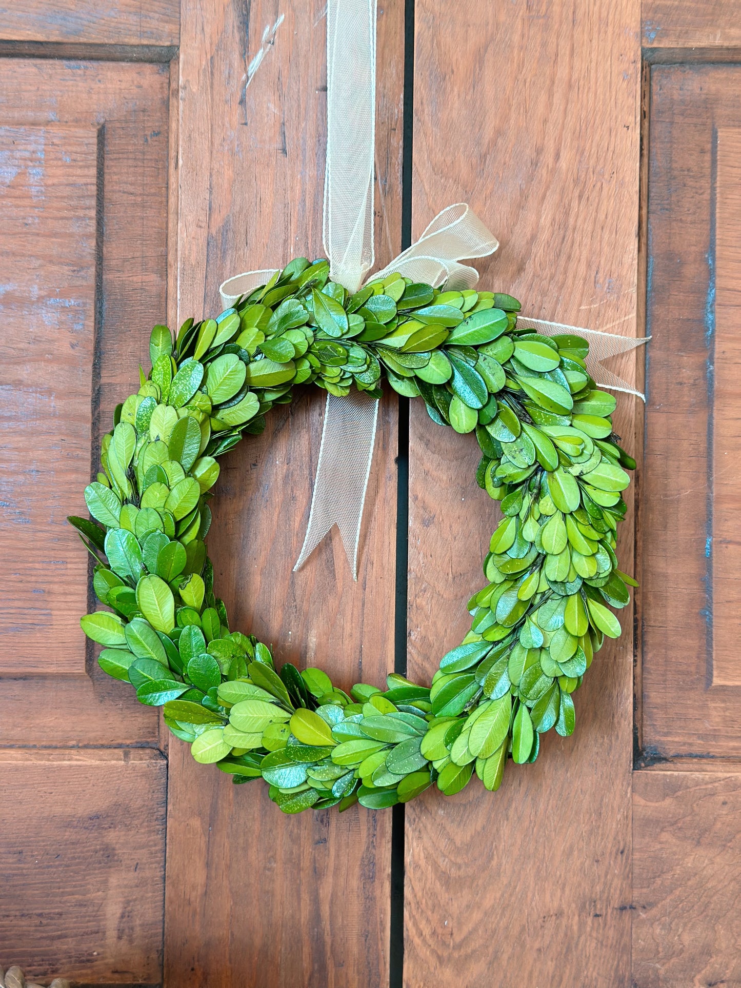 Preserved Boxwood Wreath