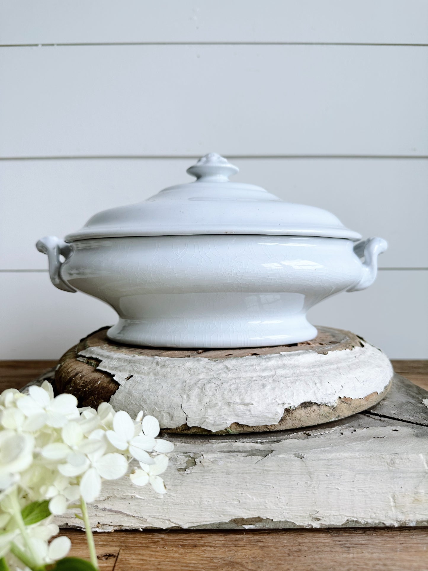 Antique TR & Boote Ironstone Tureen