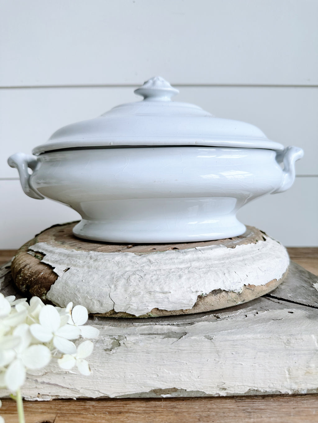 Antique TR & Boote Ironstone Tureen