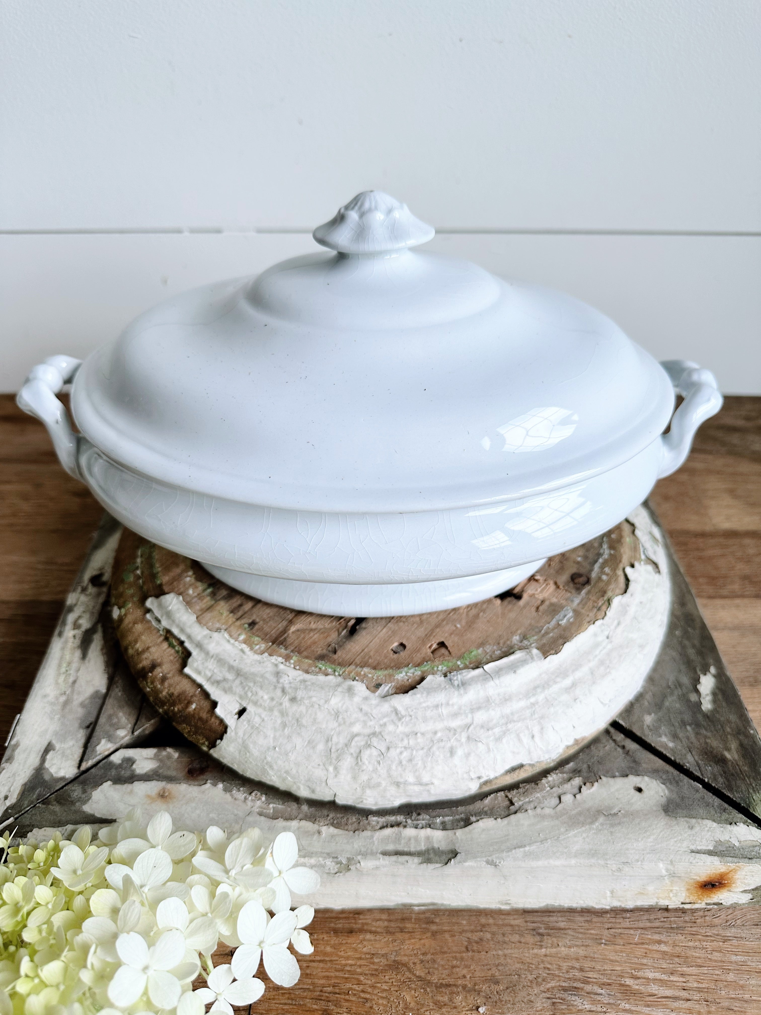 Antique TR & Boote Ironstone Tureen