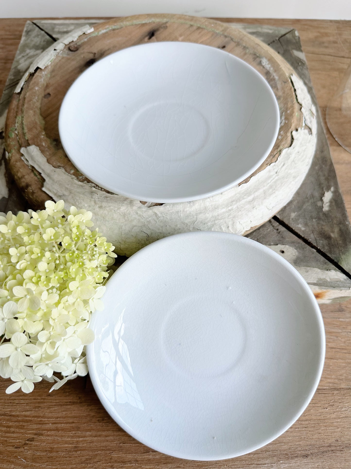 Set of Two Antique Ironstone Saucers & Glass Cloche